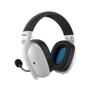 Multi-Mode Wireless & Wired Gaming Headset